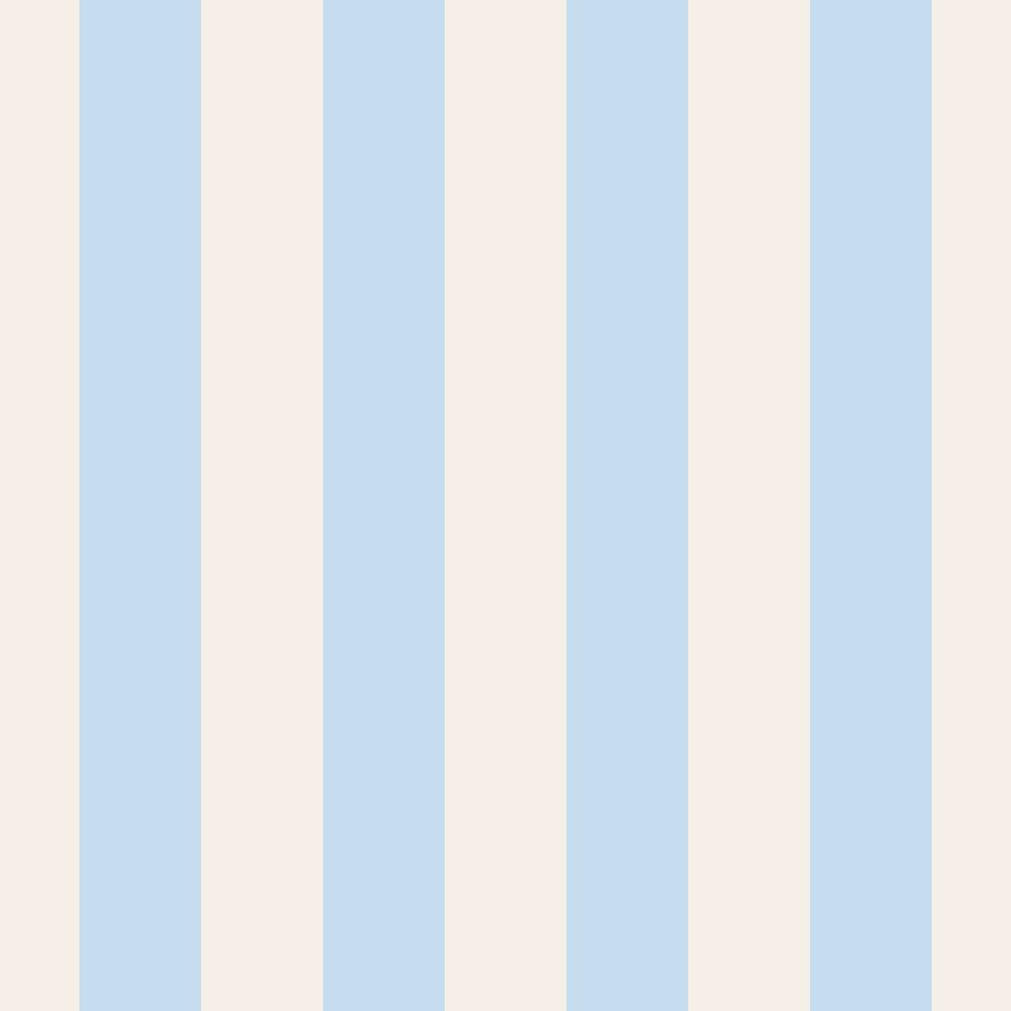 THE ISLAND SET | BLUE