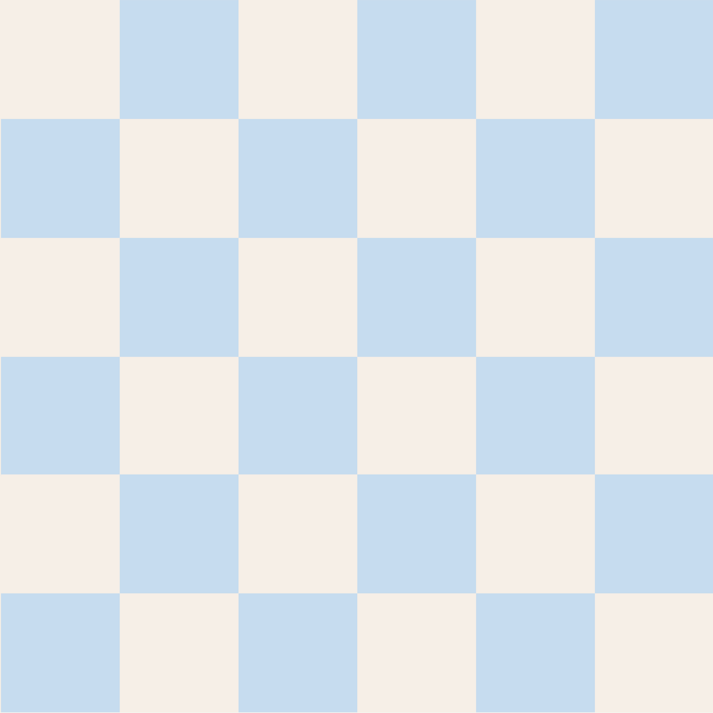 COASTAL CHECK SHORT SET